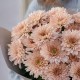 Букет 7 бежевых кустовых хризантем
