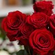 Букет 9 красных роз 50 см