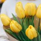 Букет 11 желтых тюльпанов