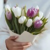 Тюльпаны поштучно