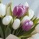 Букет 13 бело-сиреневых тюльпанов