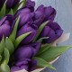 Букет 15 фиолетовых тюльпанов