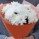 2 белые кустовые хризантемы