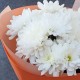 2 белые кустовые хризантемы