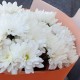 2 белые кустовые хризантемы