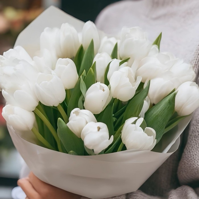 25 белых тюльпанов