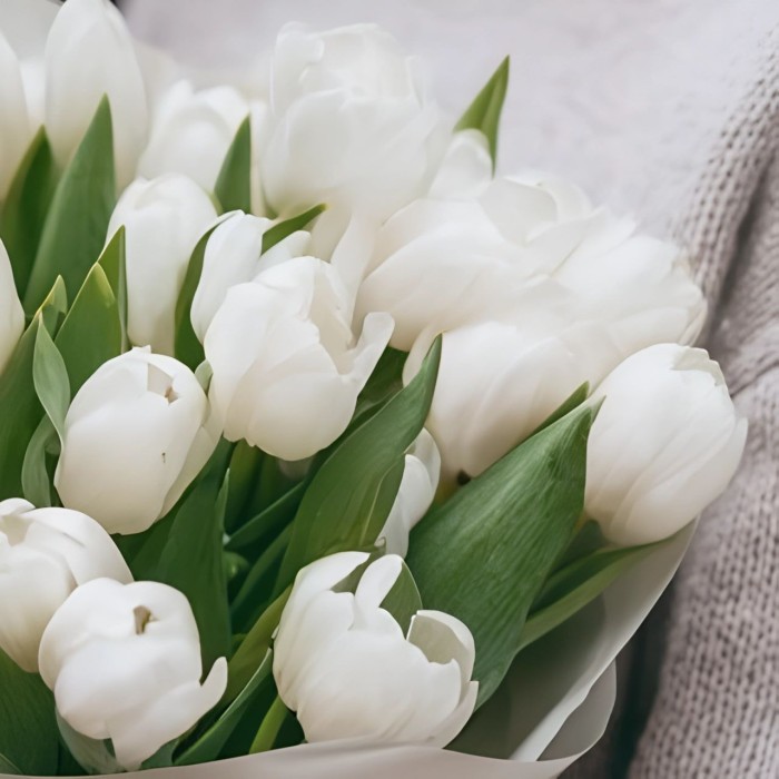 25 белых тюльпанов