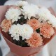 3 бело-кремовые хризантемы