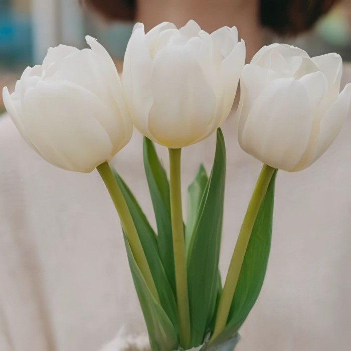 Букет 3 белых тюльпана