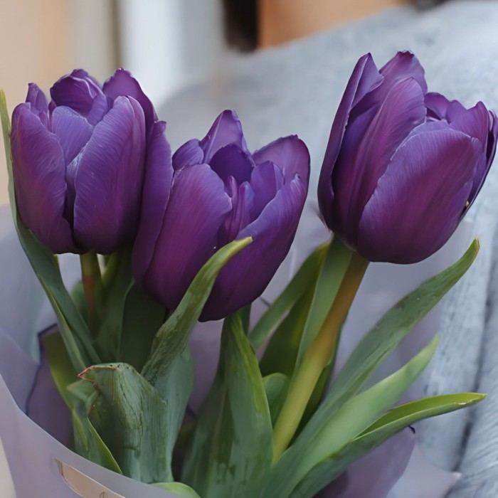 Букет 3 фиолетовых тюльпана