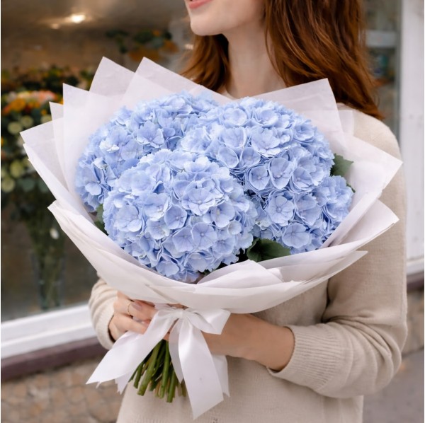 3 голубые гортензии