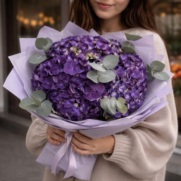 3 темно-фиолетовые гортензии