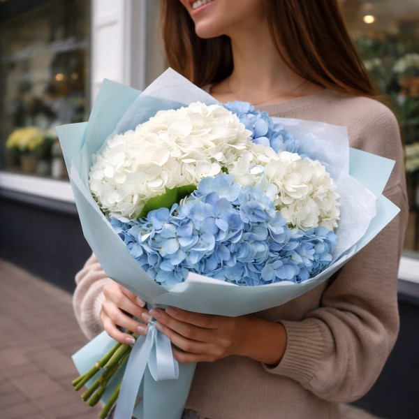 5 бело-синих гортензий