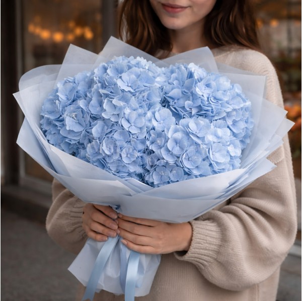 5 голубых гортензий