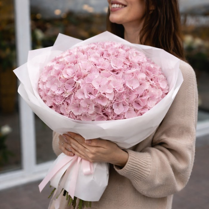 5 нежно-розовых гортензий