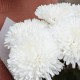 Букет 5 одноголовых хризантем