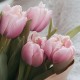 Букет 5 розовых тюльпанов