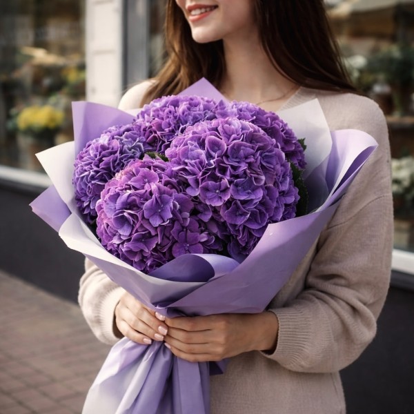 5 темно-фиолетовых гортензий