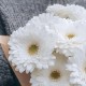 Букет 7 белых гербер