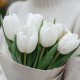 Букет 7 белых тюльпанов