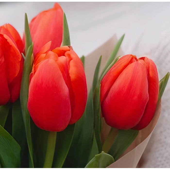 Букет 7 красных тюльпанов