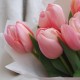 Букет 7 розовых тюльпанов