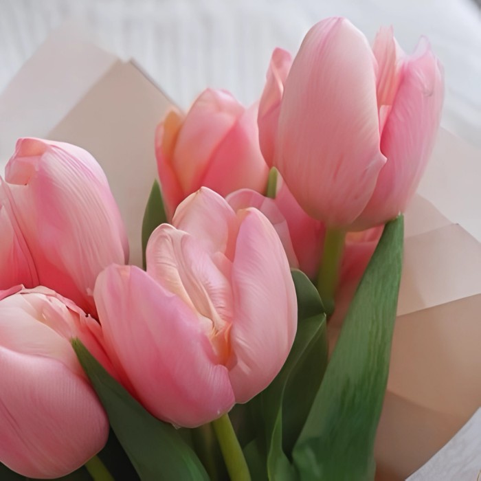 Букет 7 розовых тюльпанов