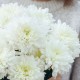 9 одноголовых хризантем
