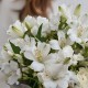 Букет альстромерии с эустомой