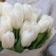 Букет из 19 тюльпанов