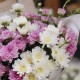Букет из белых и сиреневых хризантем