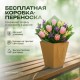 15 роз Амстердам