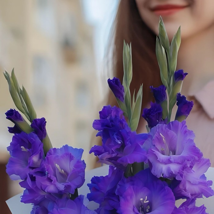 Букет 3 фиолетовых гладиолуса