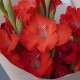 Букет 3 красных гладиолуса