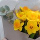 Букет 9 нарциссов с эвкалиптом